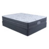 SIMMONS BEAUTYREST HARMONY LUXE FIRM QUEEN BASE SET (EXTRA LENGTH) - Thumbnail Image 2